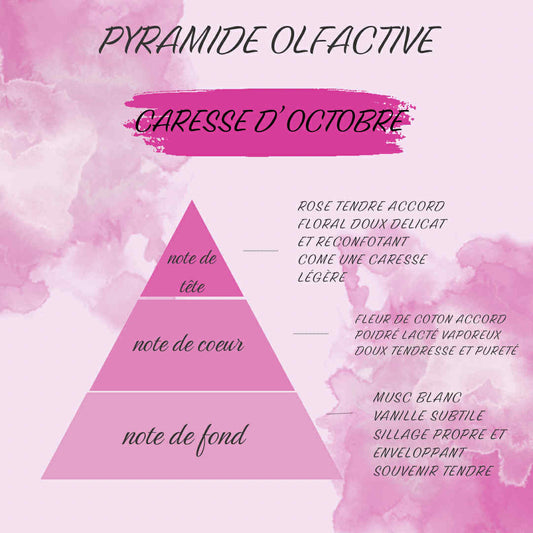 Caresse d’octobre 🎗️🩷