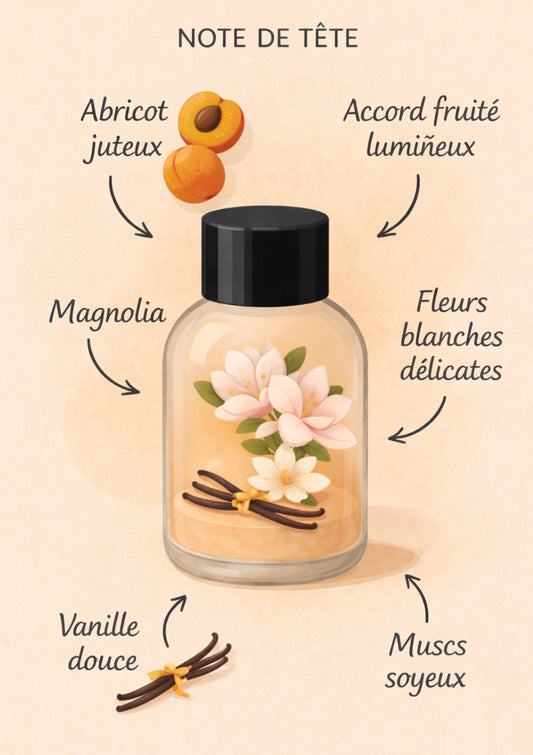 Coffret 6x fondants P’tit cul d’abricot 🍑