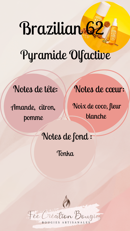 Collection "Sol de janeiro" ☀️💚