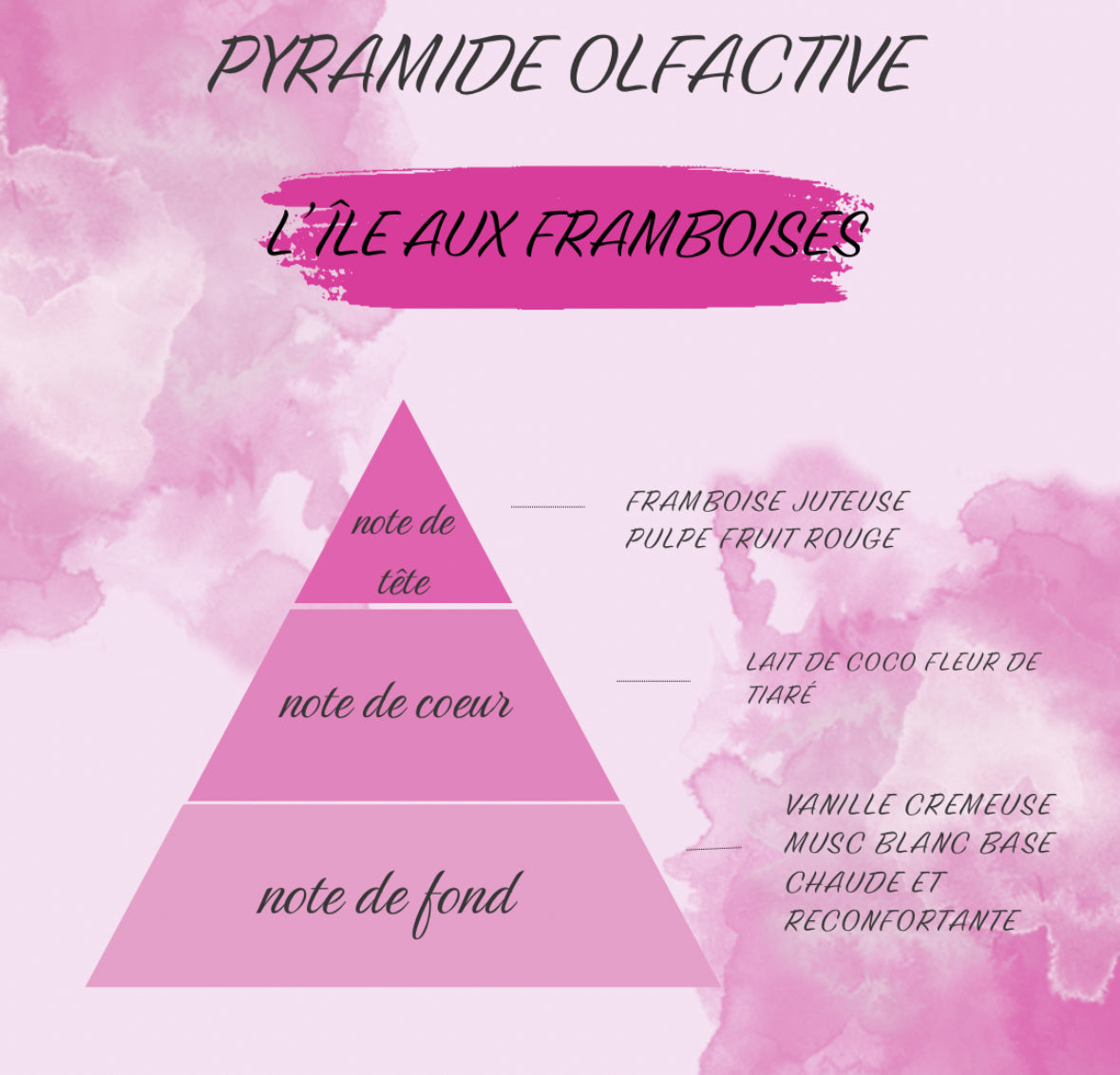 L’île aux framboise 🩷