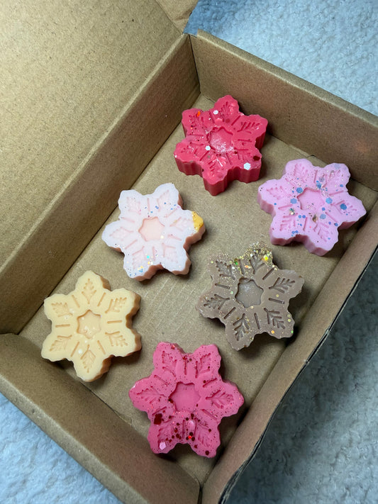 Coffret 6 fondants ❄️