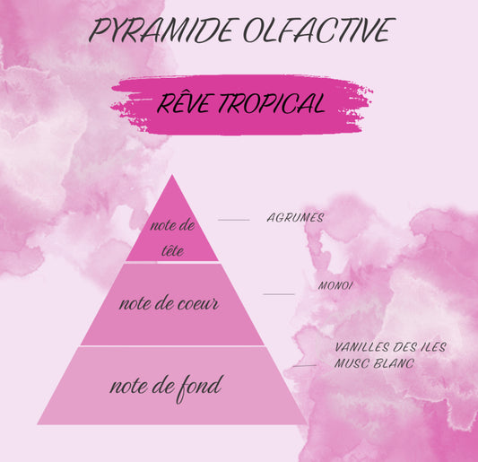 Rêve tropical 🏝️