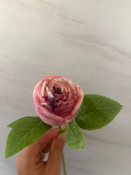 Rose parfumée
